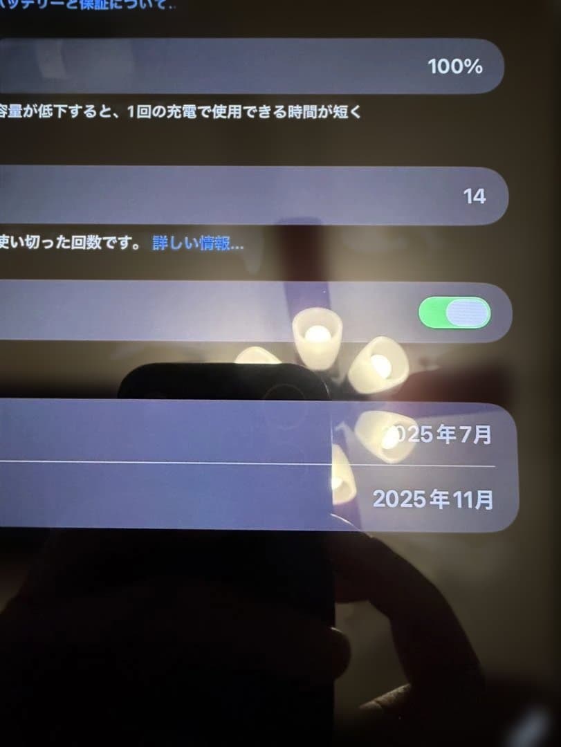 iPad Pro 11インチ　M5 (2025) Wi-Fi 256GB 美品