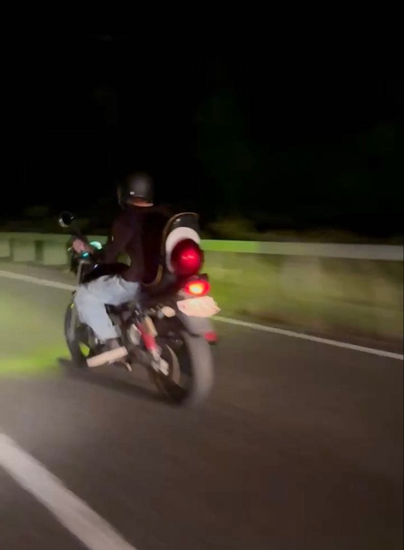 バリオス用 3段シート 45cm オオカワ製 即発送