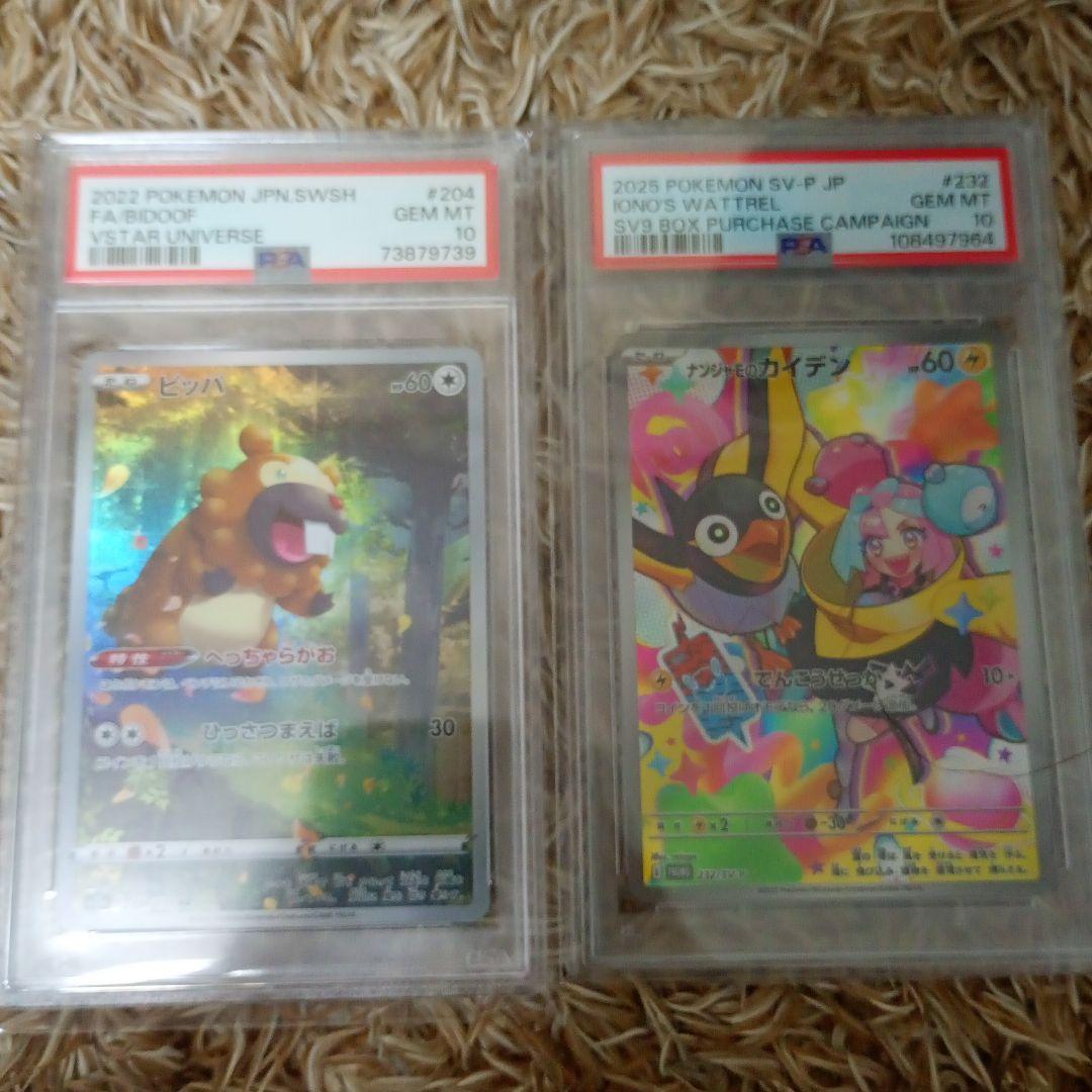 ビッパ　ナンジャモのカイデン　psa10