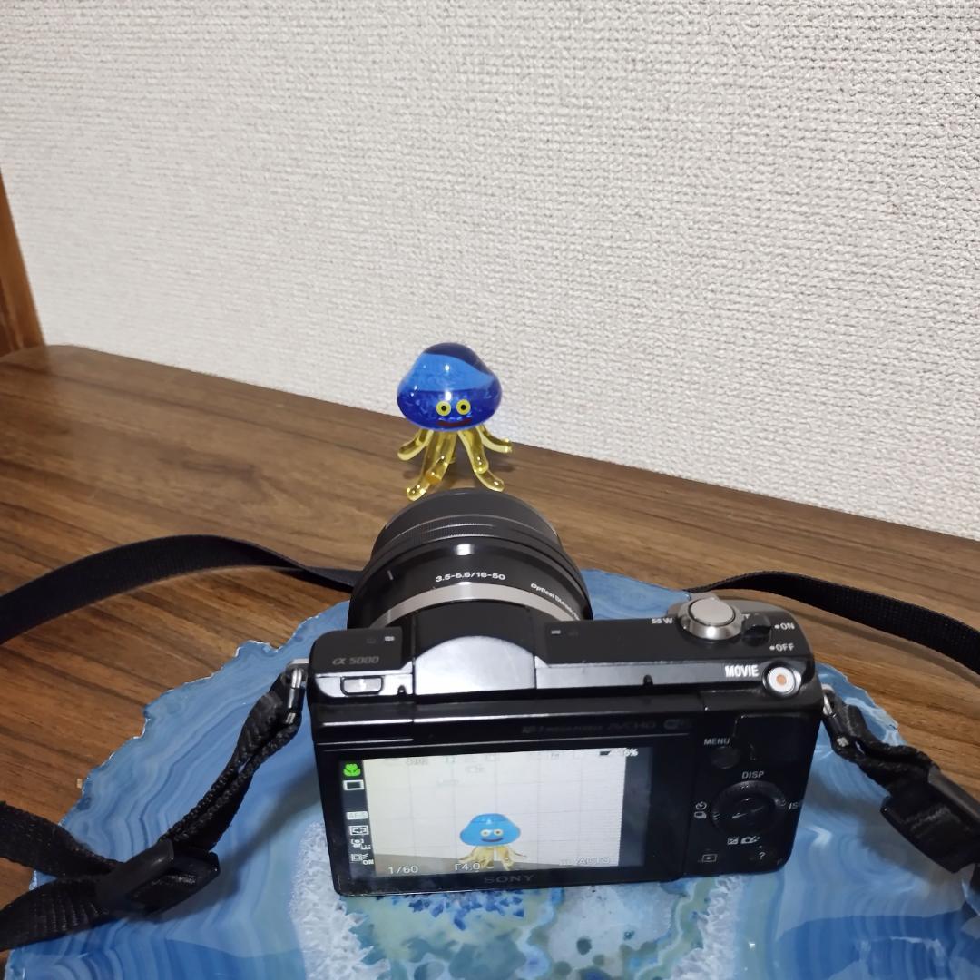 【entaさん専用】SONY α5000 ILCE-5000 レンズキット 黒