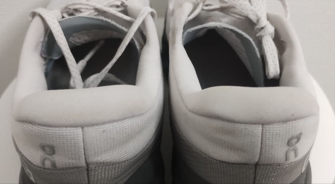 靴 On Cloudmonster2 26cm FrostRock