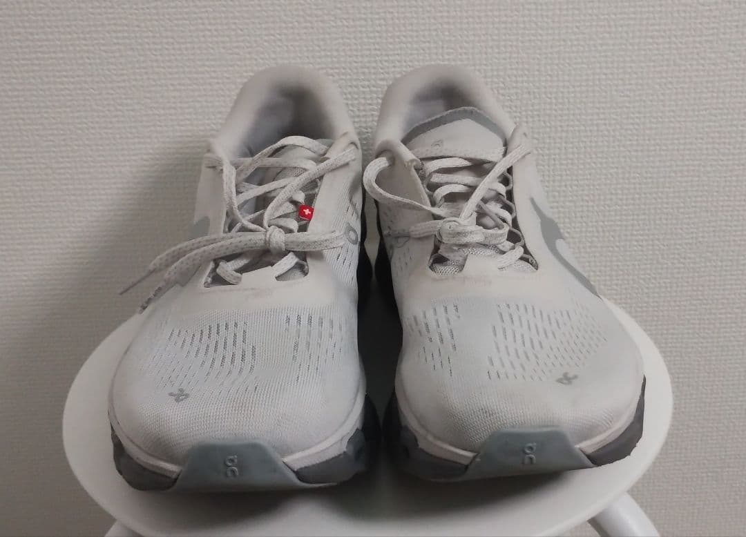 靴 On Cloudmonster2 26cm FrostRock