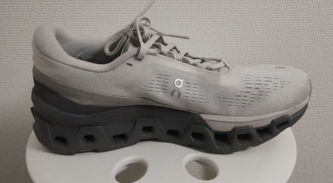 靴 On Cloudmonster2 26cm FrostRock