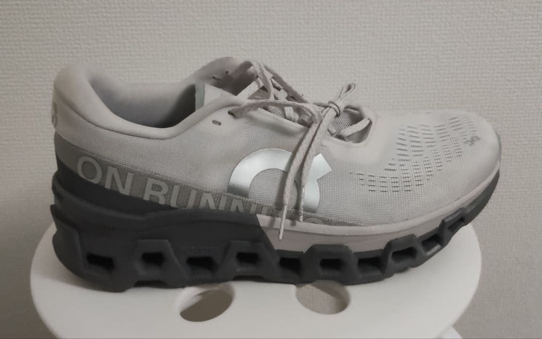 靴 On Cloudmonster2 26cm FrostRock