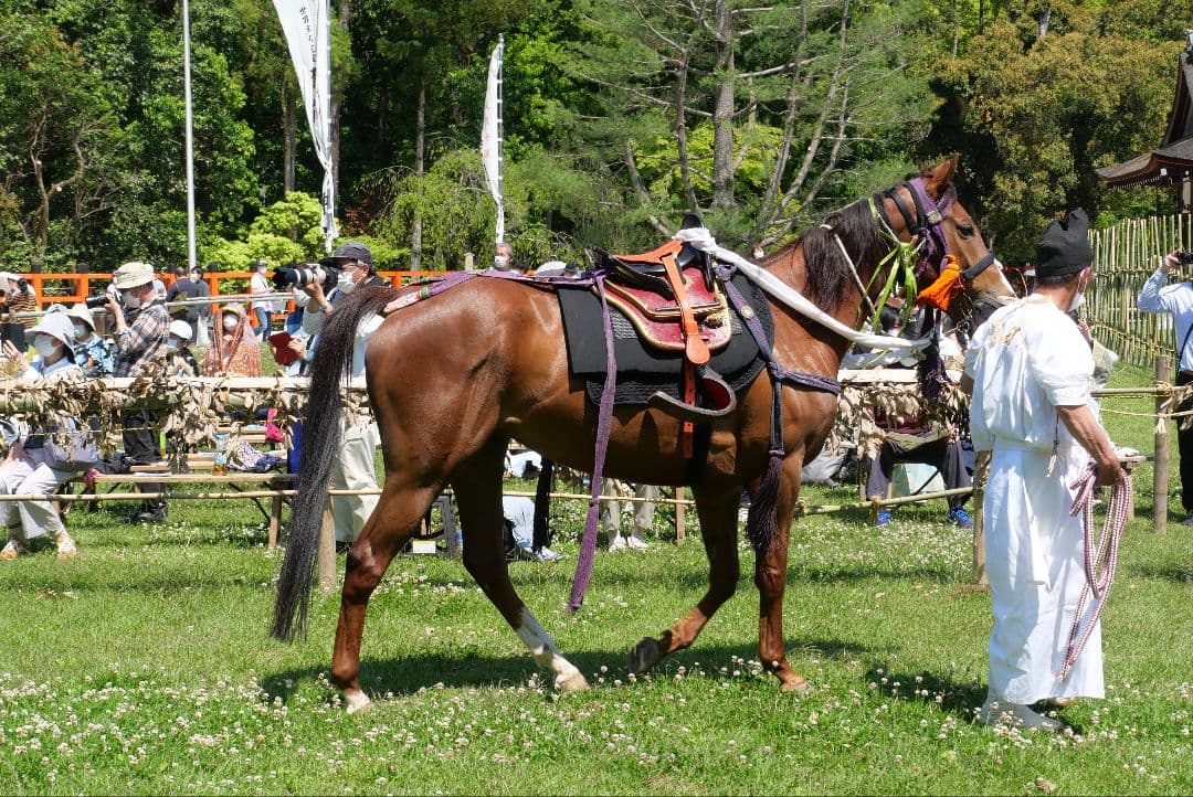 Lumix GX7MK3　カメラ本体、純正グリップ付き