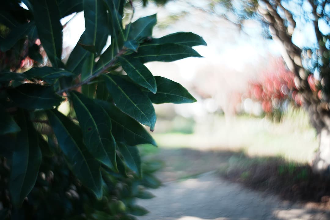 【整備＆テスト】オリンパス Zuiko auto-w 28mm F2.8 922