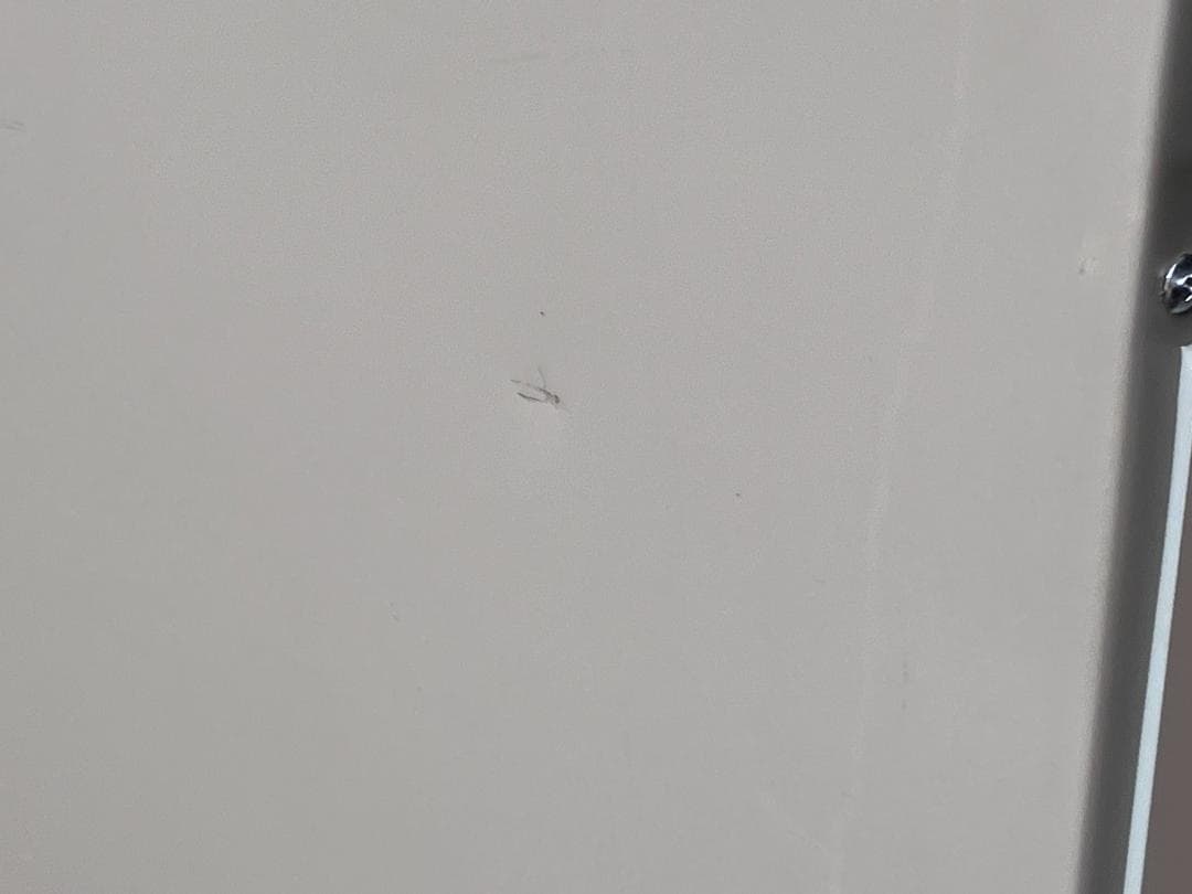 愛知岐阜/送料無料★日立　470L冷蔵庫　R-HWS47K-XN　2019年製