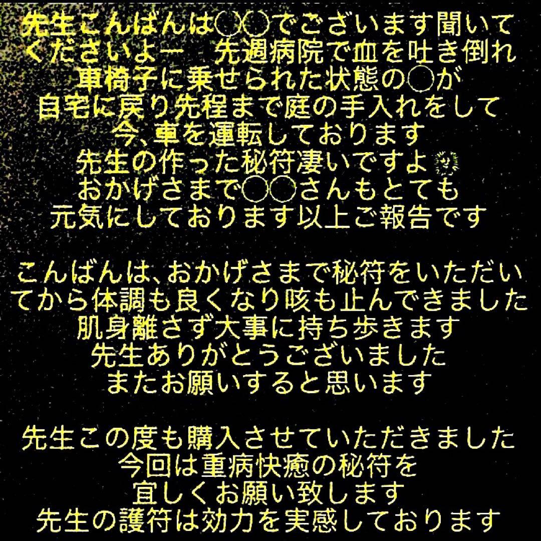 秘符(こうちゃん)病　病気　内臓　胃　心臓　肺　肝臓　護符　霊符　お守り