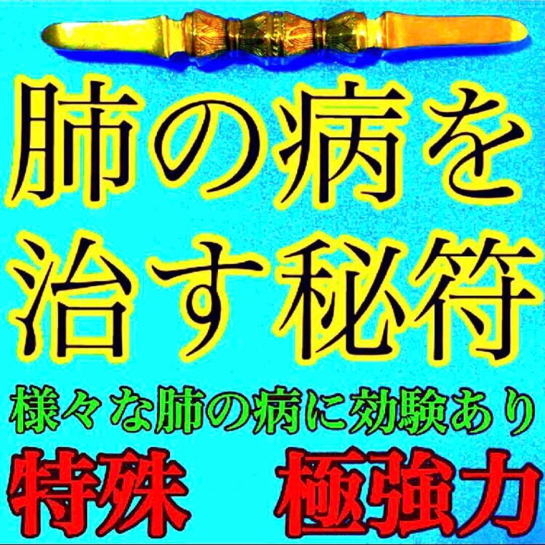 秘符(こうちゃん)病　病気　内臓　胃　心臓　肺　肝臓　護符　霊符　お守り