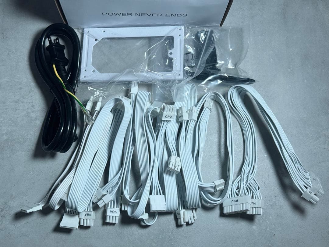 FSP DAGGER PRO 850w ATX3.0 ＋ カスタムケーブル付き