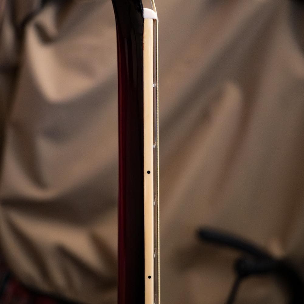 Ibanez AEL20D 2002年 USAモデル極美品