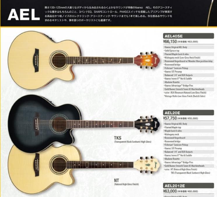 Ibanez AEL20D 2002年 USAモデル極美品
