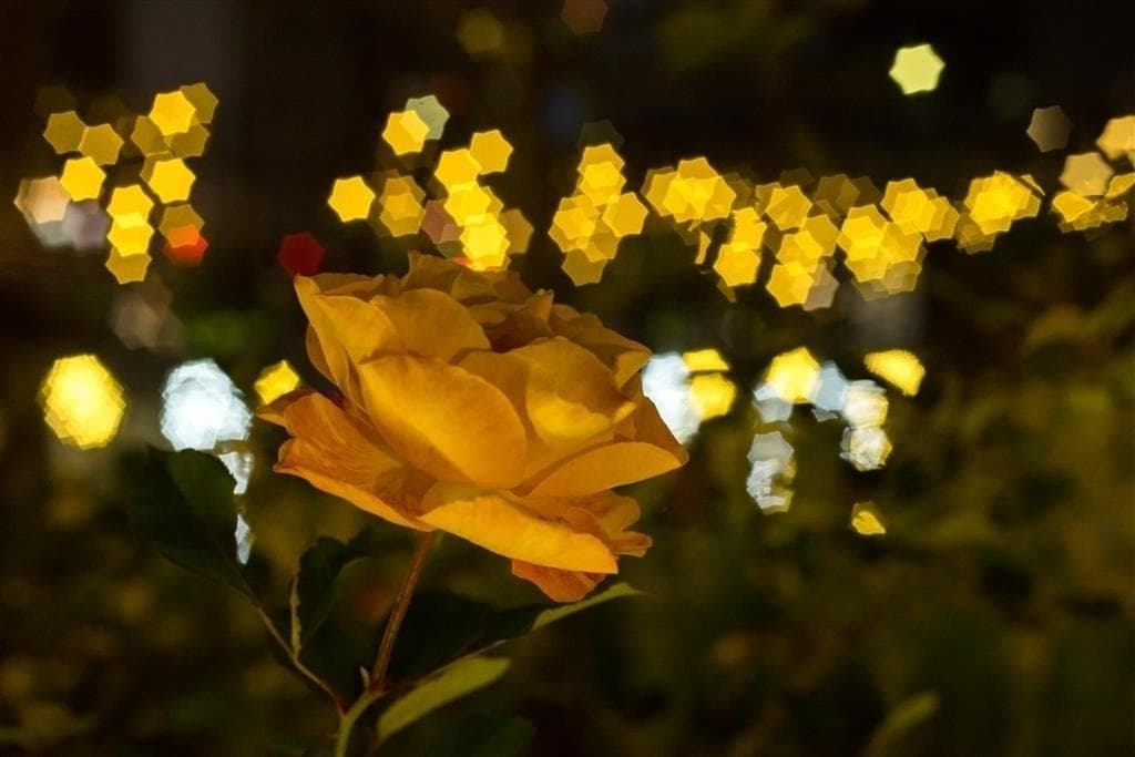 5　新品同様　星形ボケレンズ　MC VOLNA-9 50mm/f2.8 付属品付