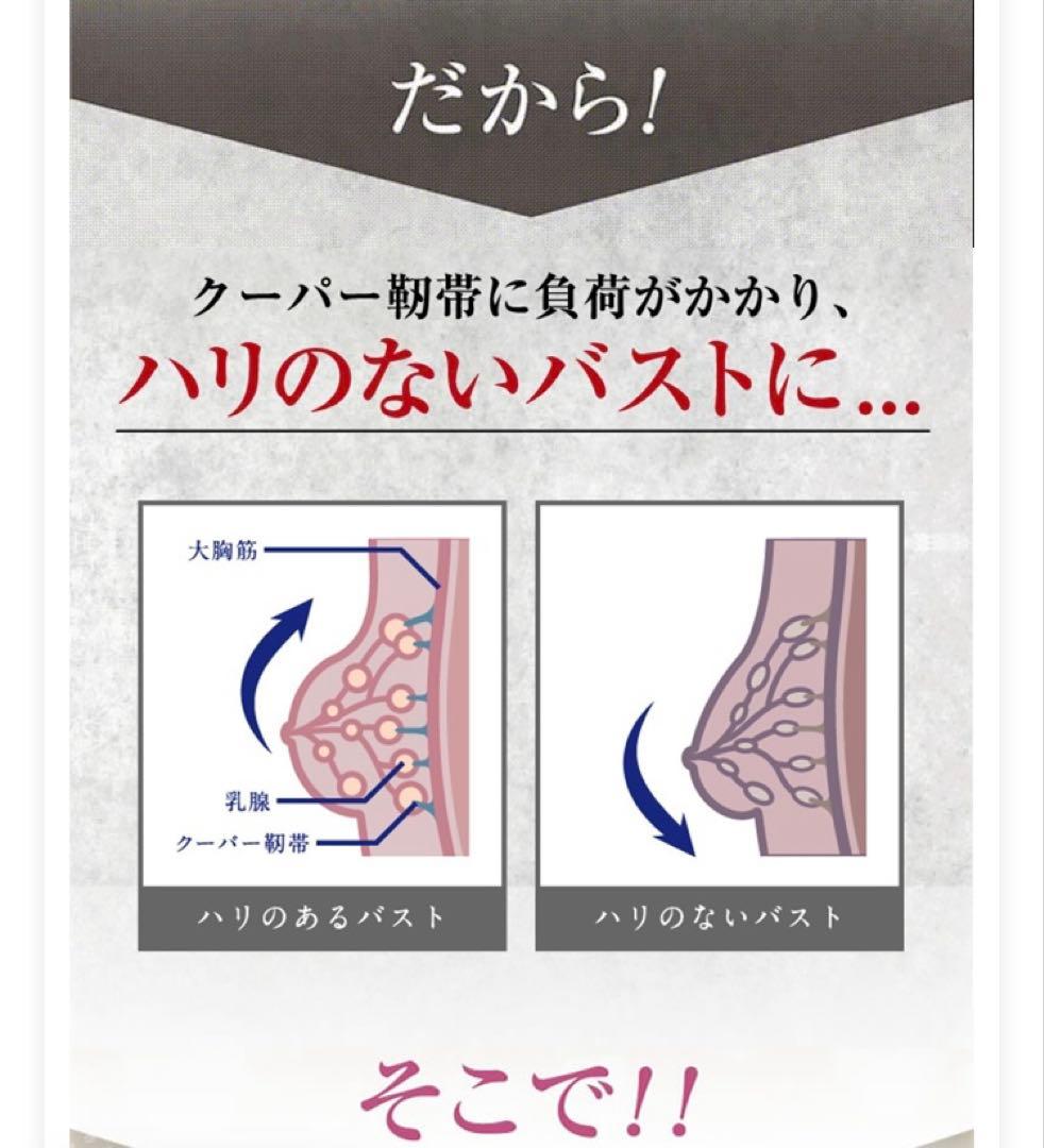 最終値下DR METHOD ノンジーSophie 補正下着 2点セット