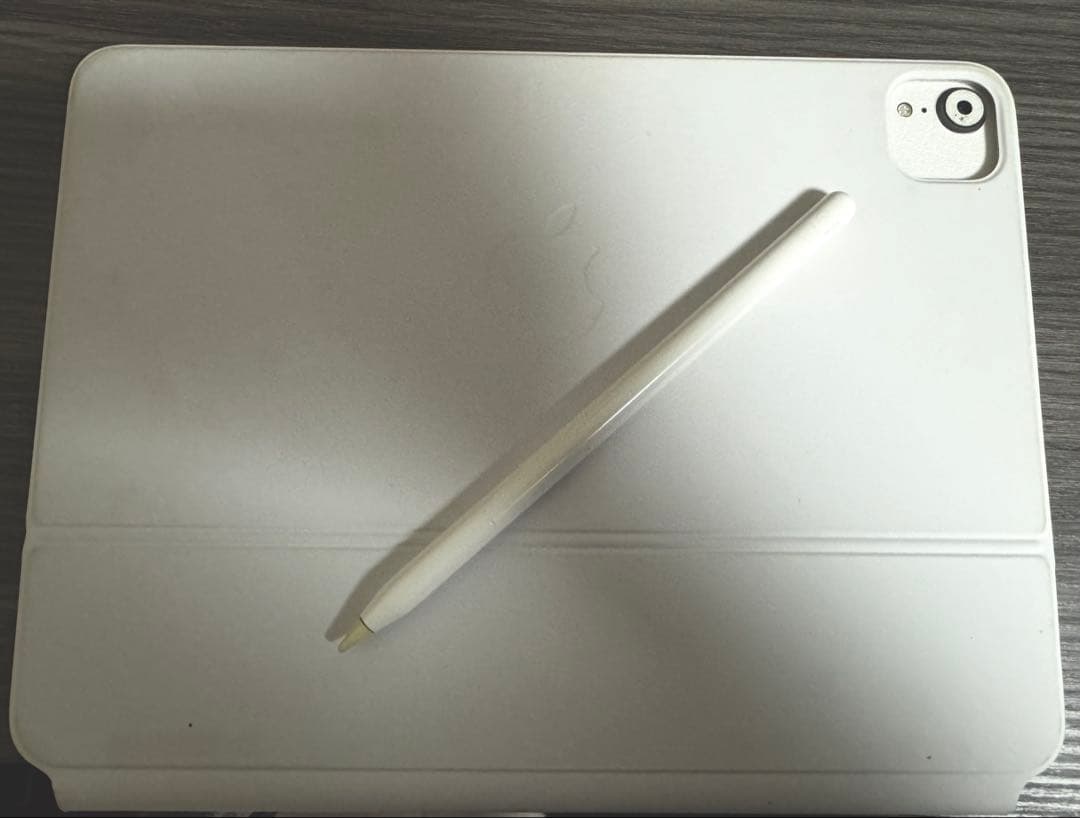 Apple iPad pro 11インチ 第一世代 本体 周辺機器付き