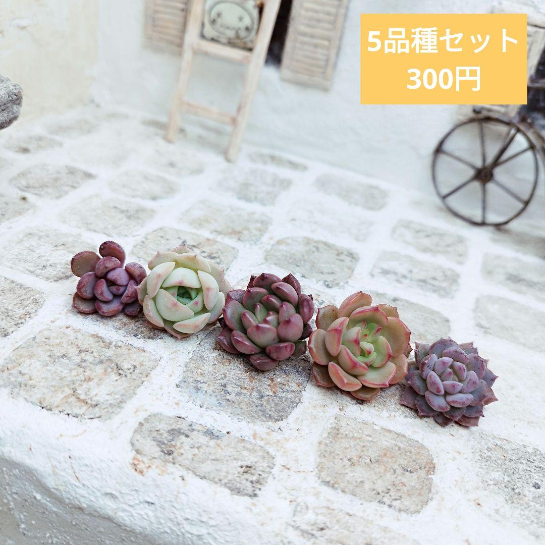 よっしー様 リクエスト 10点 まとめ商品