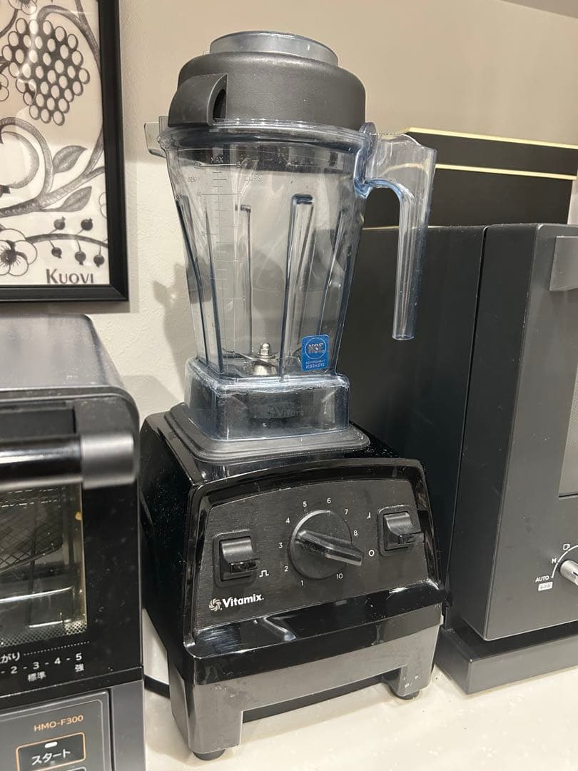 Vitamix E310ブレンダー VM0202モデル