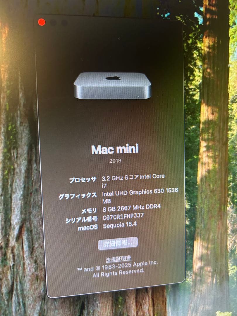 Macデスクトップ Mac mini 2018 i7 8GB RAM 256G SSD