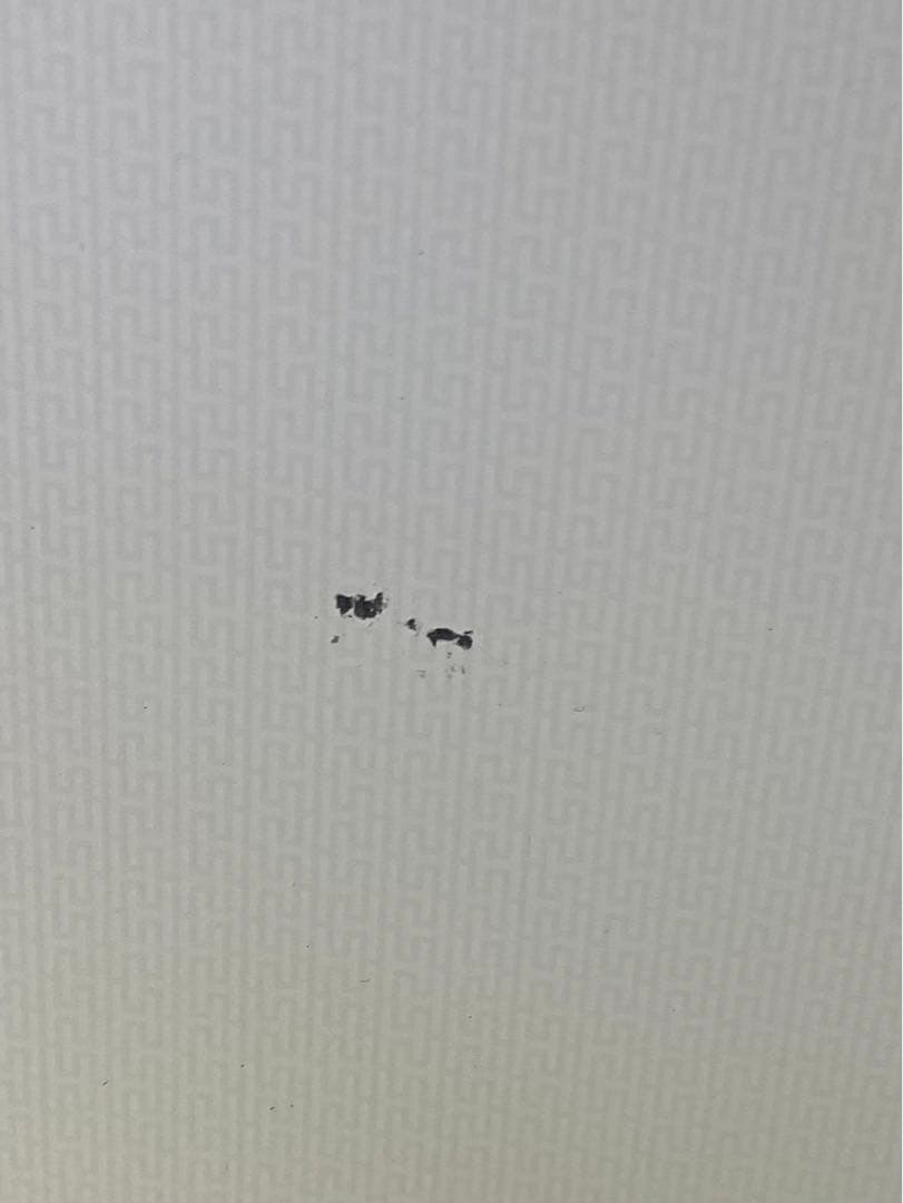 ニトリ　冷凍冷蔵庫　NTR-140WH(8971636) 2023年製　140L