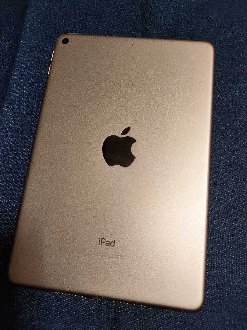 美品　Apple iPadmini（第5世代）256GB