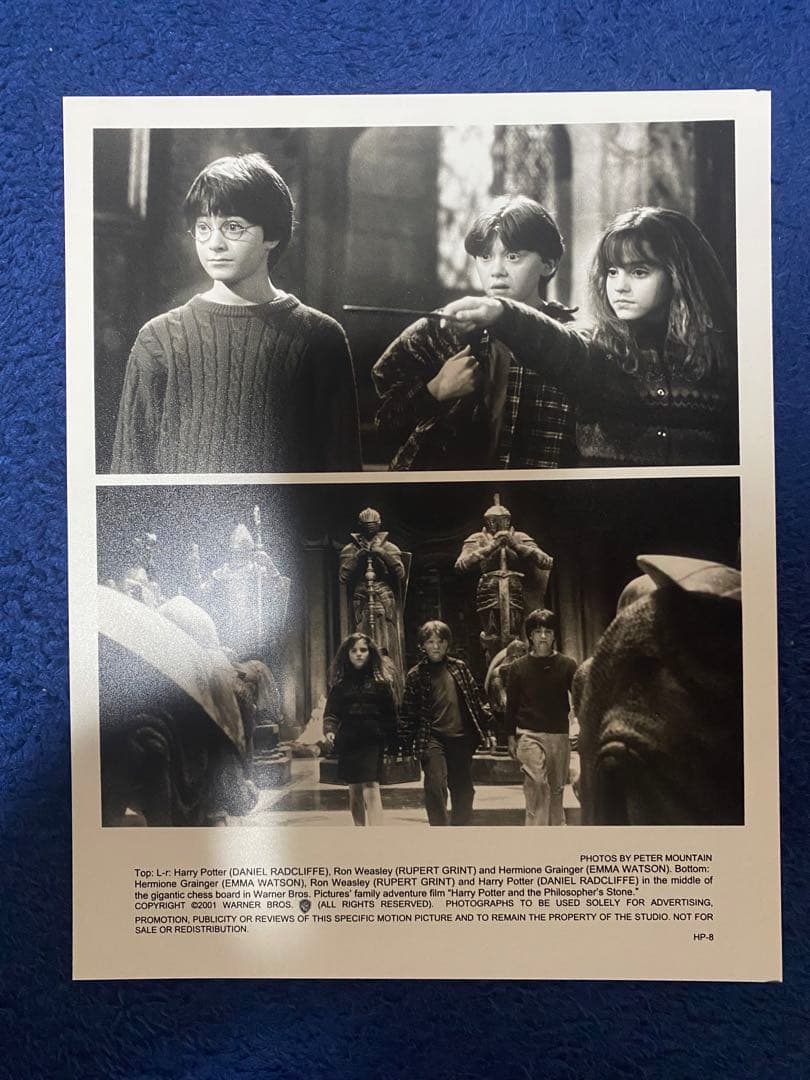 ハリーポッター　賢者の石　映画スチール写真5枚セット