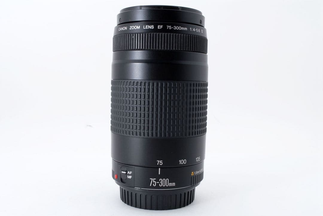 望遠レンズ/キャノン動作品/Canon EF75-300㎜