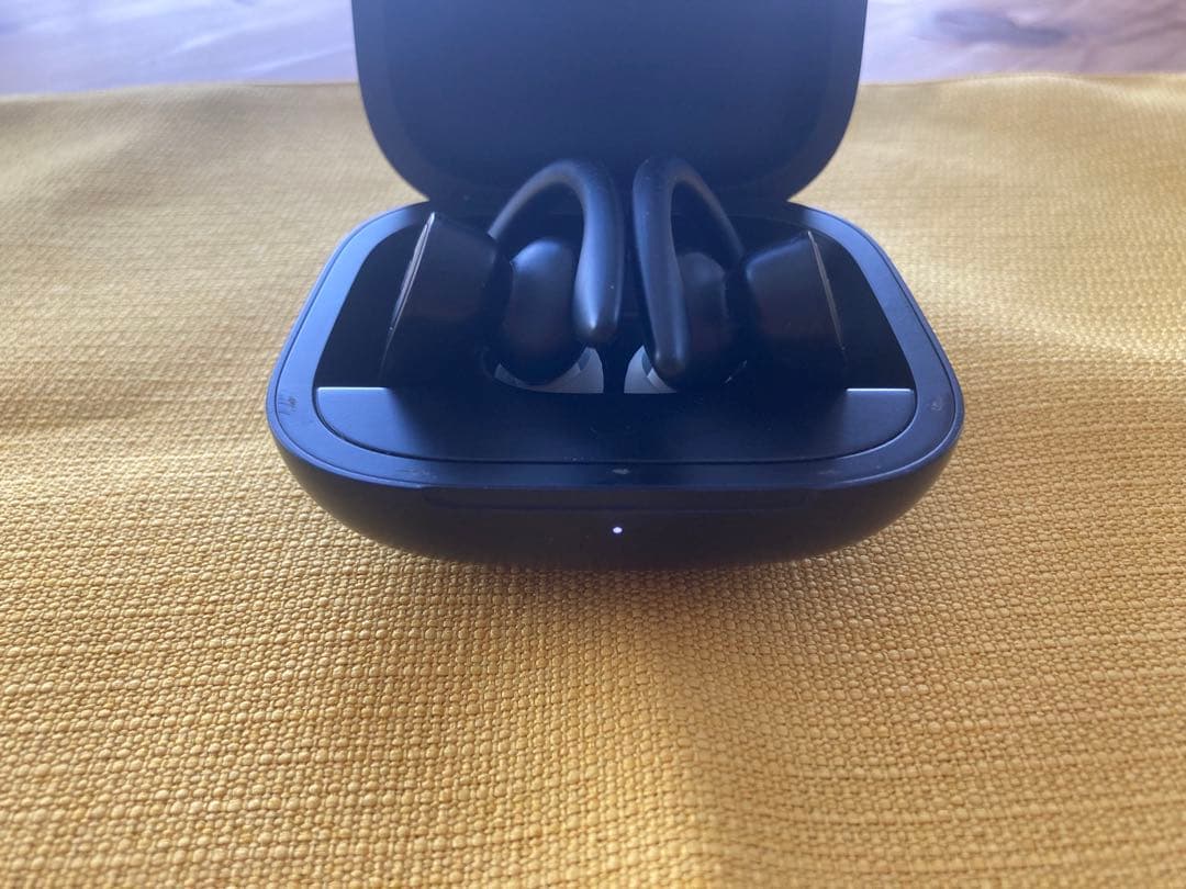 Beats Powerbeats Pro ジャンク 左耳バッテリー不良