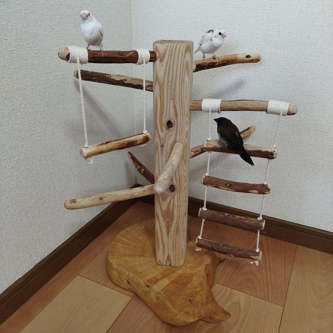 【中型鳥用】天然木バードアスレチック