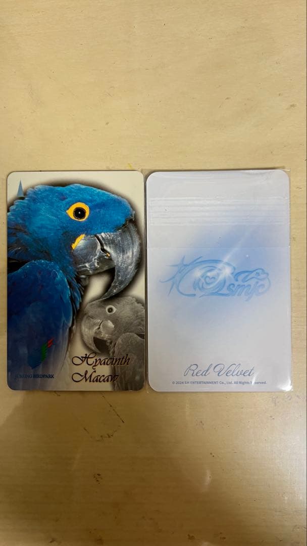 Cosmic アイリーン トレカ