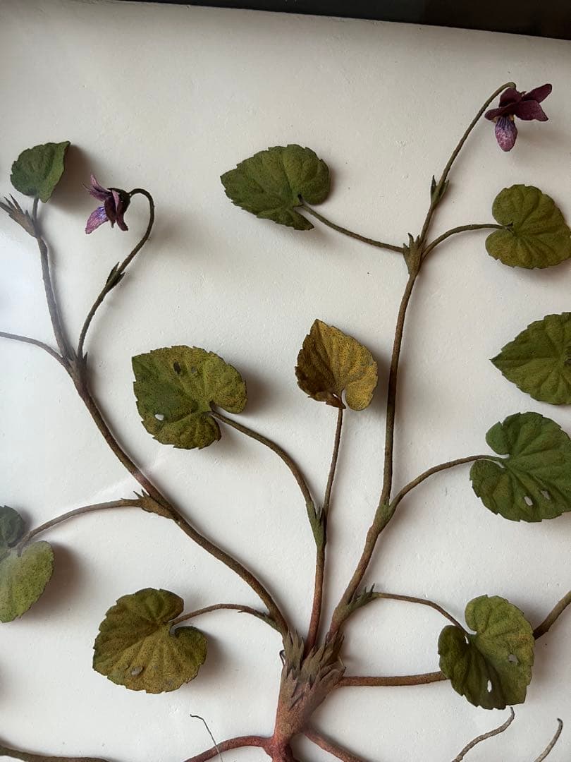 モリソン小林 作品