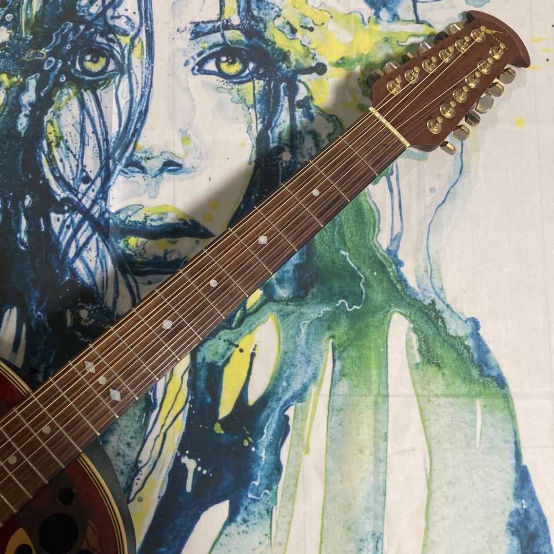 Ovation オベーション CC265 12弦 ※電装不良あり