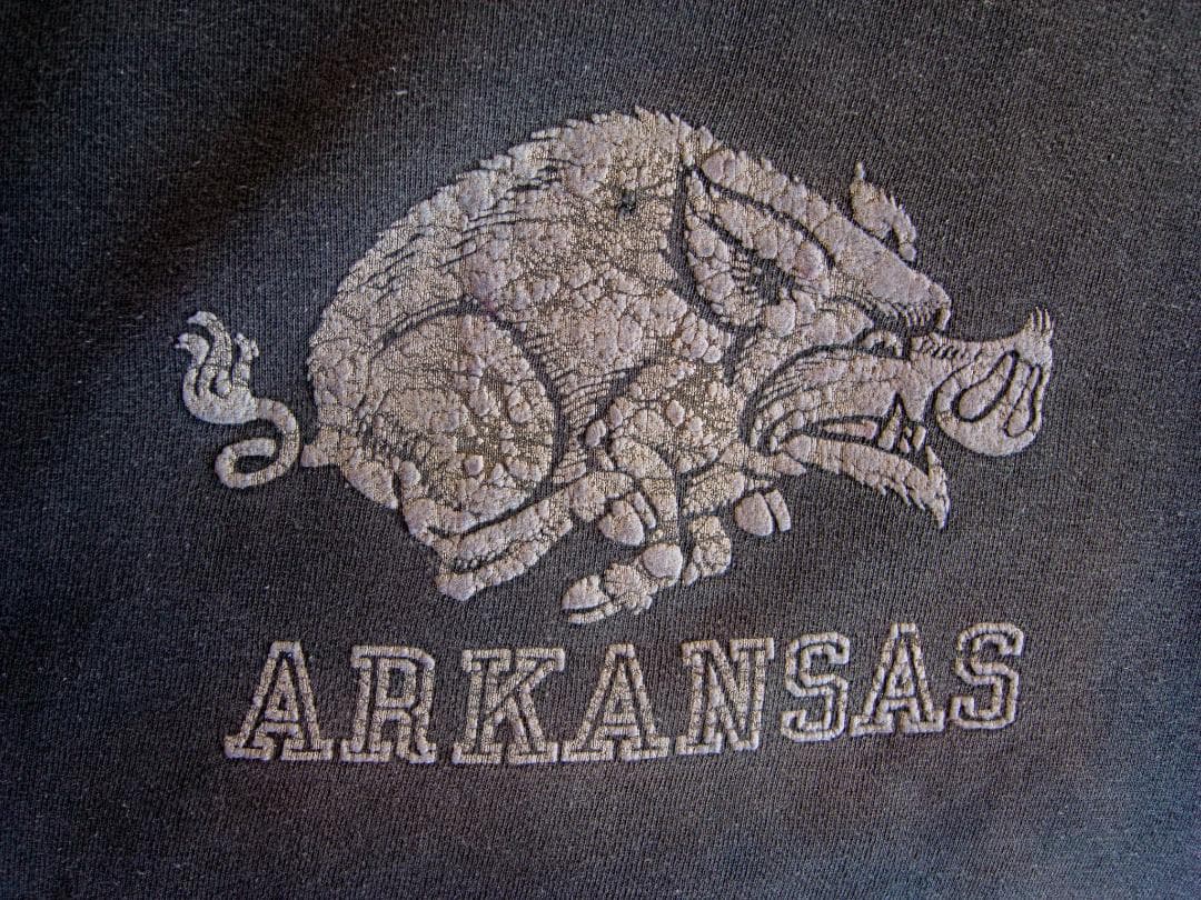 【推定60s】ヴィンテージ フロッキースウェット ARKANSAS 猪プリント