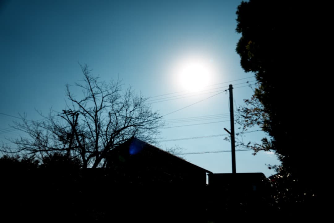 SONY SEL24105G FE24-105mm F4 G 美品 防湿庫保管