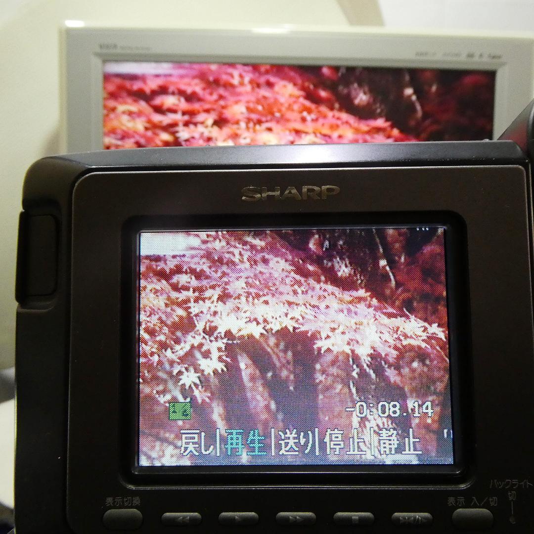 動作良好　VideoHi8 シャープVL-HL50 8ミリビデオカメラDVD化に