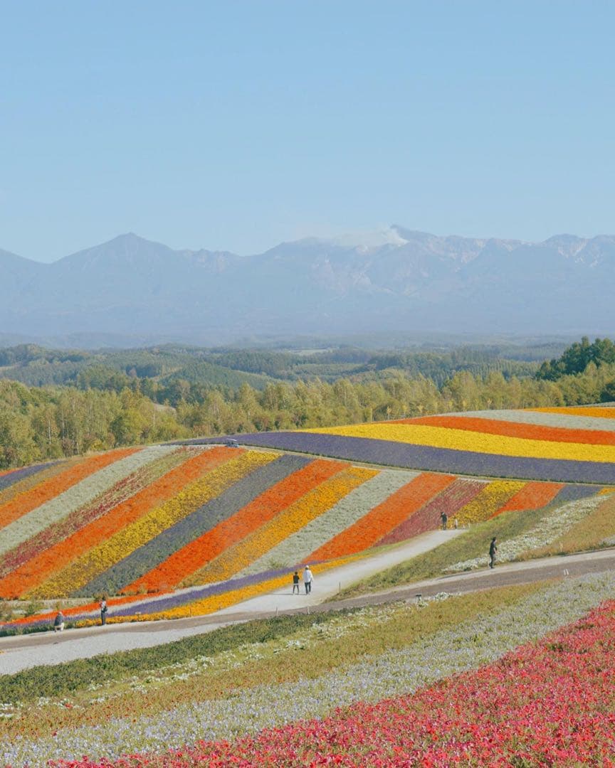 Sony E 50mm F1.8 Eマウントレンズ