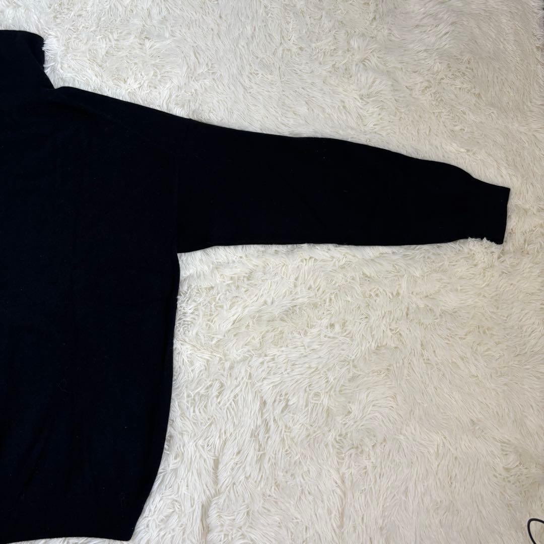 cash&barba キャッシュアンドバルバ モンゴリアンカシミヤ タートル　4