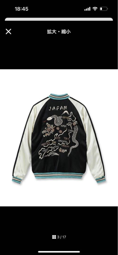 テーラー東洋60周年スカジャン　蛇　ヘビ