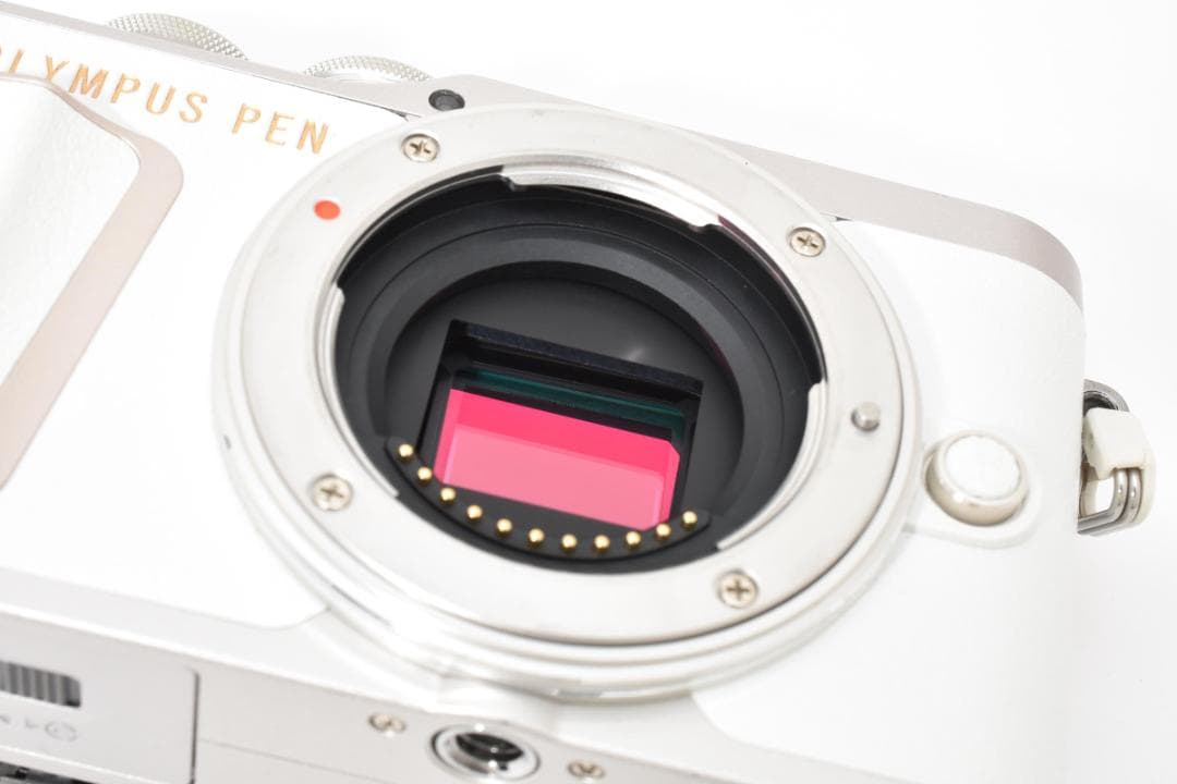 美品 OLYMPUS PEN E-PL10 ボディ S数95回 1543