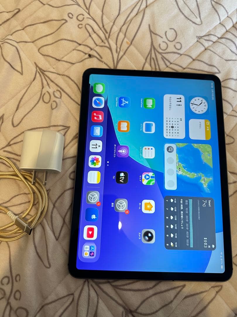 Apple iPad pro 11 第2 256GB sim フリ美品