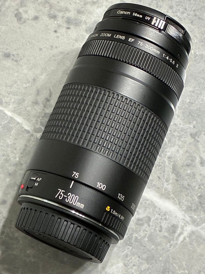 ⭐️美品⭐️キャノン Canon EF 75-300mm F/4-5.6 II