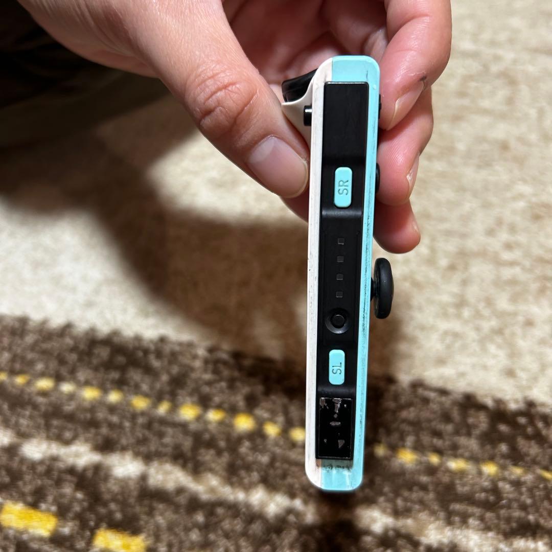 Nintendo Switch 本体　あつまれどうぶつの森デザイン