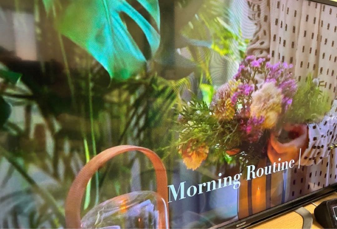 もぐうさ。　SHARP LC-45W5 45インチ液晶テレビ