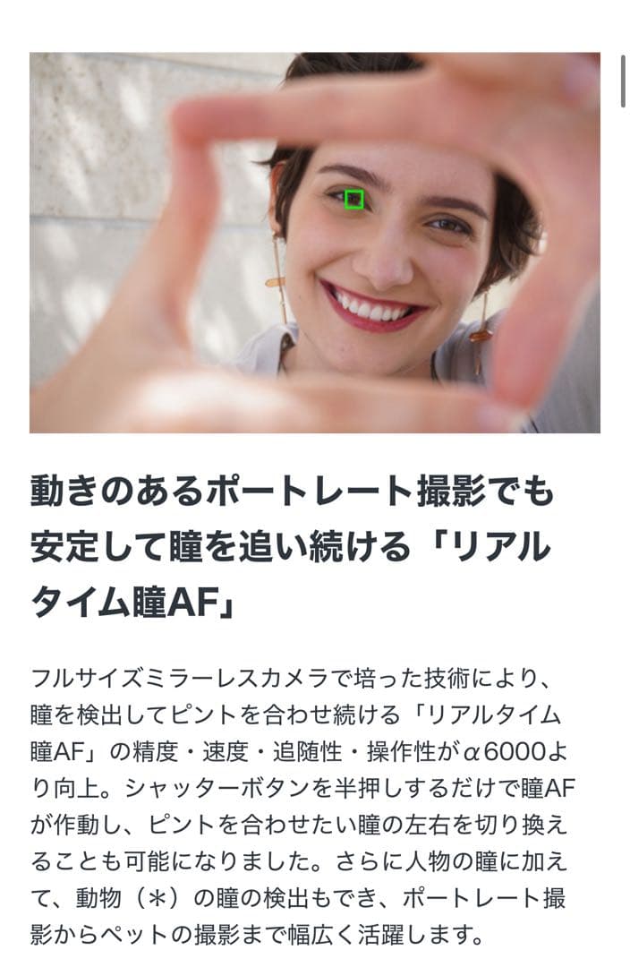 SONY α6100 a6100 ILCE-6100 デジタル一眼レフ