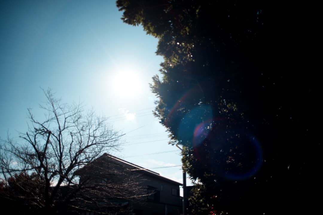 【◯マーク】動作◎ Canon FD 24mm F2.8 S.S.C 576