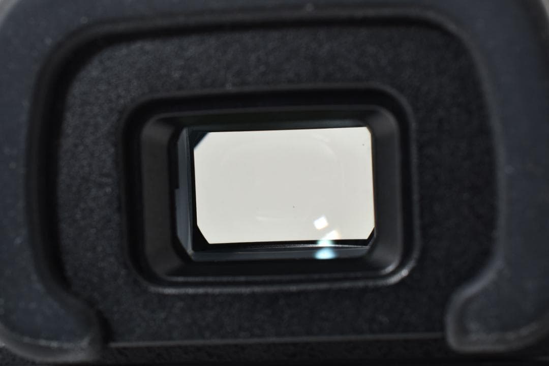 【シャッターOK】ペンタックス K-30 デジタル一眼レフカメラ 現状品 カメラ