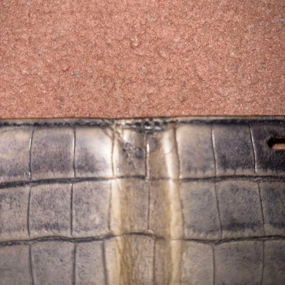 クロコダイル！　iPhone12 12pro 用