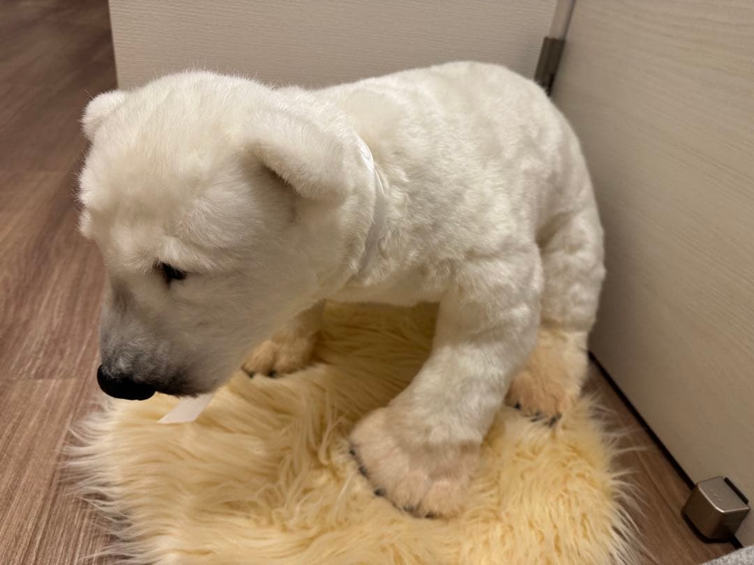 【最終値下げ】海外作家様作　アートドール　シロクマ