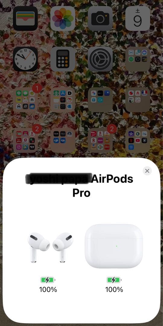 本物、AirPods Pro 早い者勝ち！オシャレなケース付き！