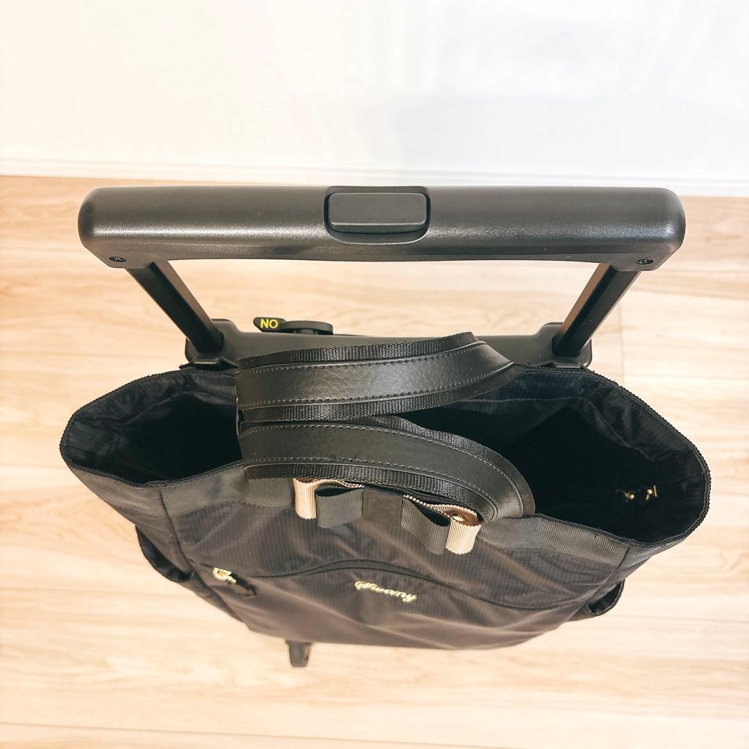 ✨美品✨ スワニー キャリーバッグ D-574 ルバンドIII ブラック 19L