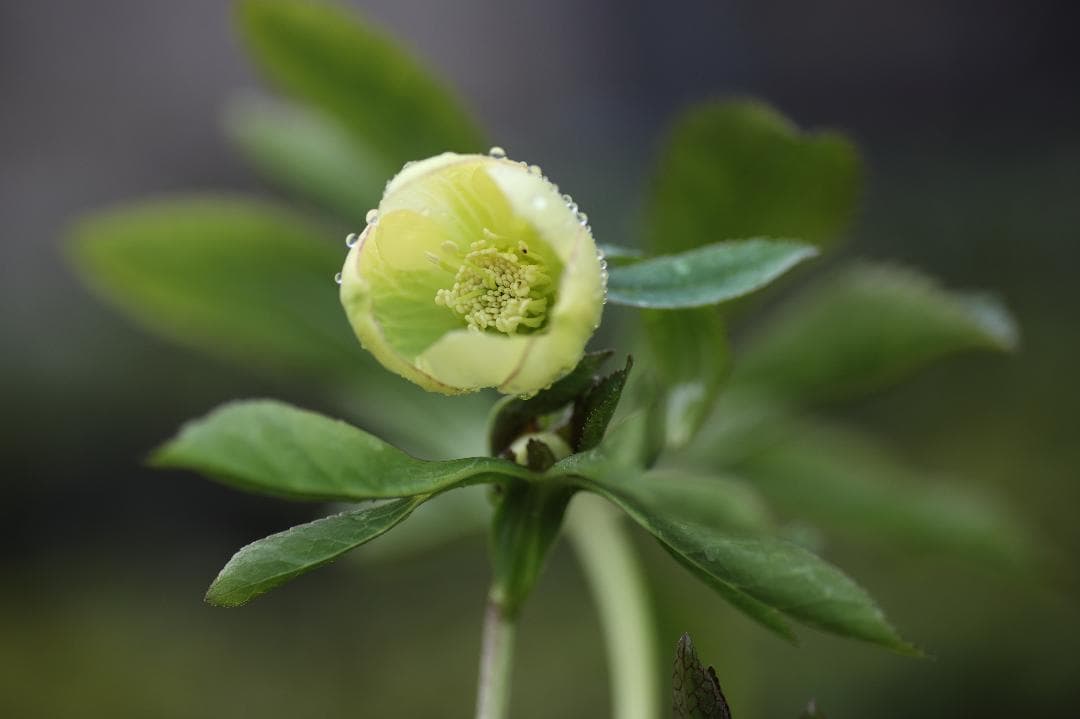 もり子❤(ӦｖӦ。)プロフィール必読様 リクエスト 3点 まとめ商品